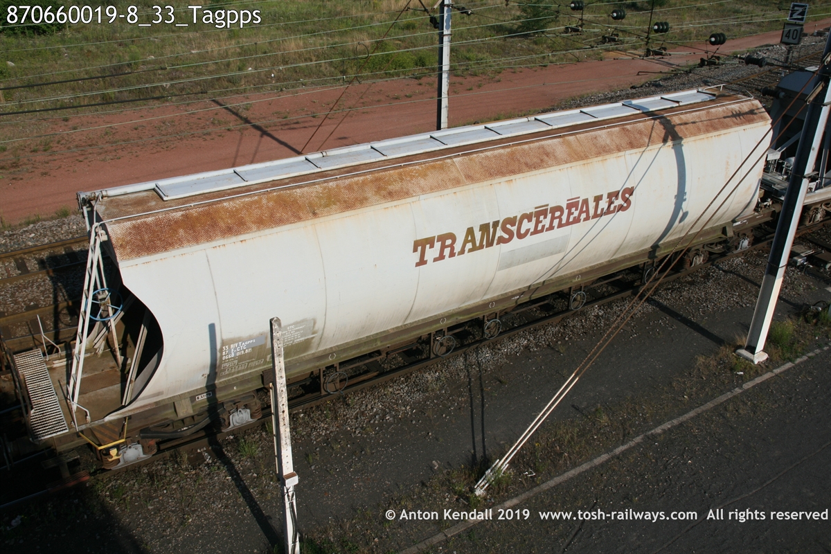 870660019-8_33_Tagpps.JPG
